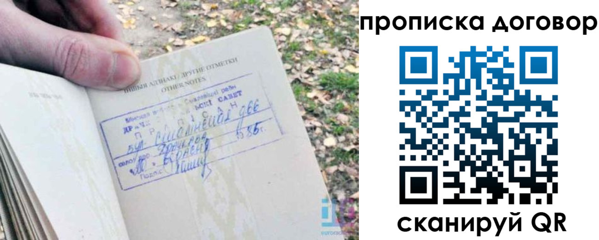 временная регистрация собственник в Пионерском