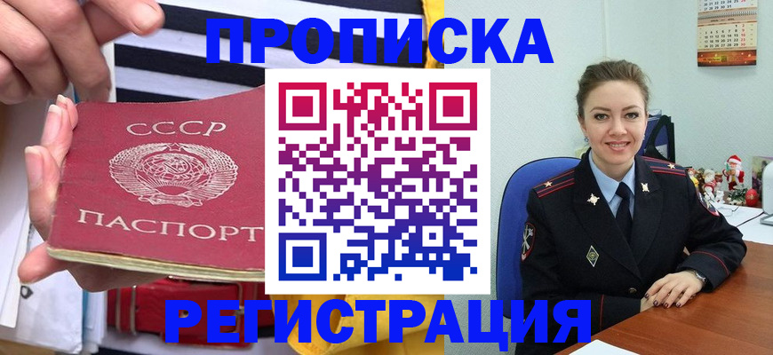 где прописаться в Пионерском